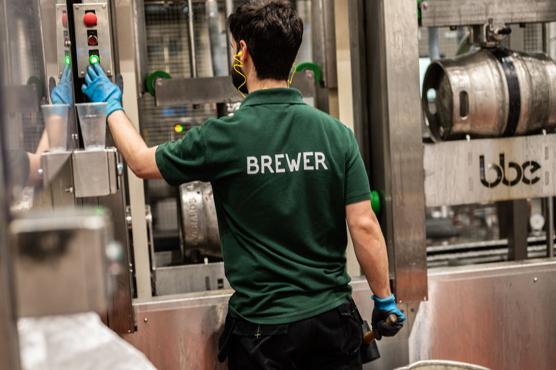 How is beer made?